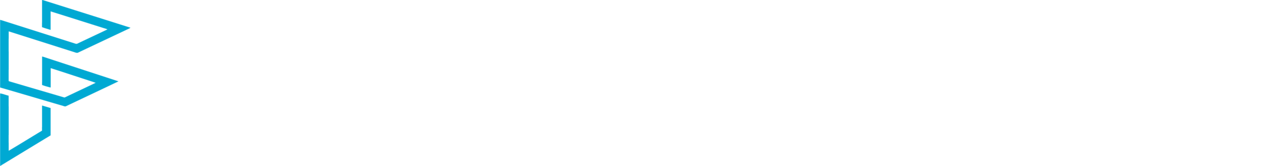 Focus Doors logo