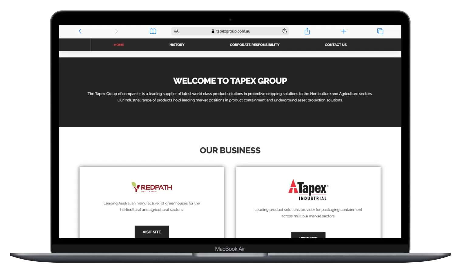 Previous Tapex Group website homepage on desktop with four navigation items