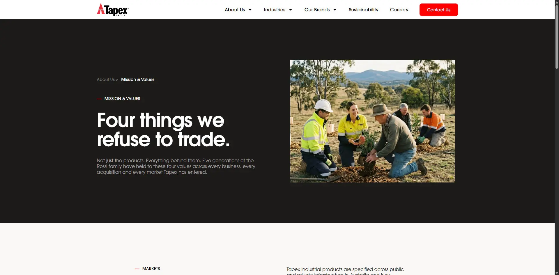 Tapex Group Mission and Values page on the new industrial group website